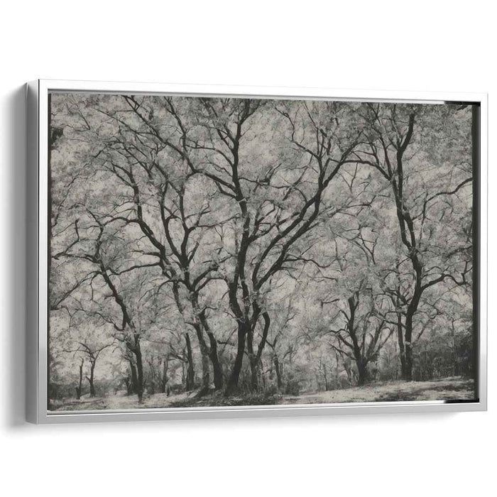Verdant Wilderness: Photorealistic Forest Canvas Art Print
