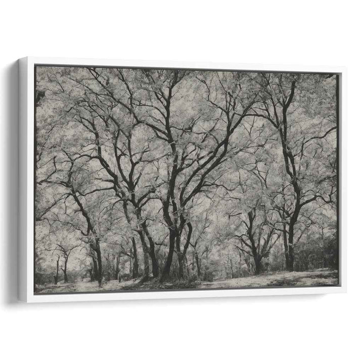 Verdant Wilderness: Photorealistic Forest Canvas Art Print