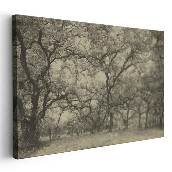 Forgotten Memories Echo: Sepia-Toned Landscape Art Print