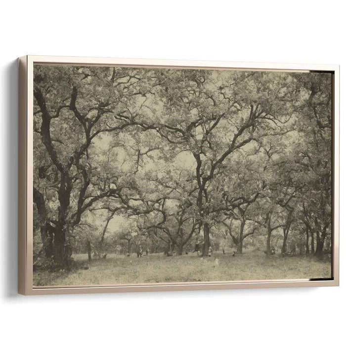 Forgotten Memories Echo: Sepia-Toned Landscape Art Print