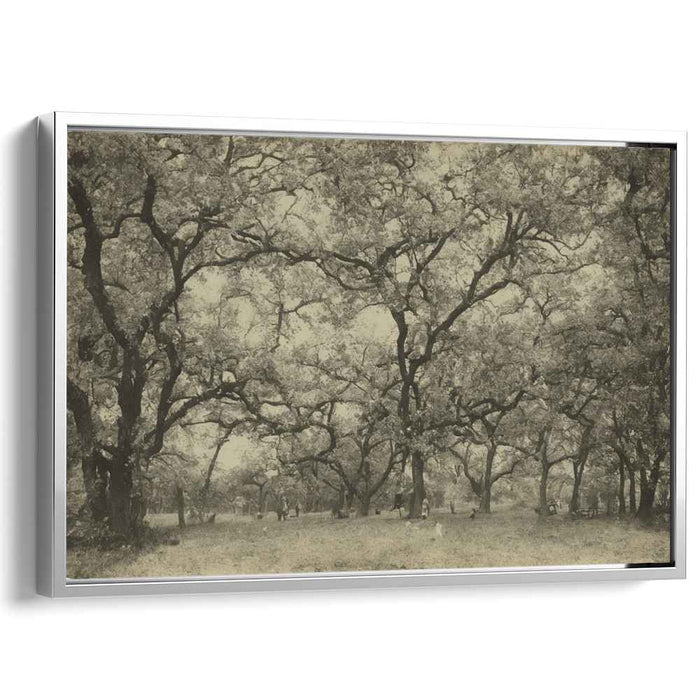 Forgotten Memories Echo: Sepia-Toned Landscape Art Print