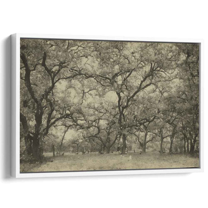 Forgotten Memories Echo: Sepia-Toned Landscape Art Print