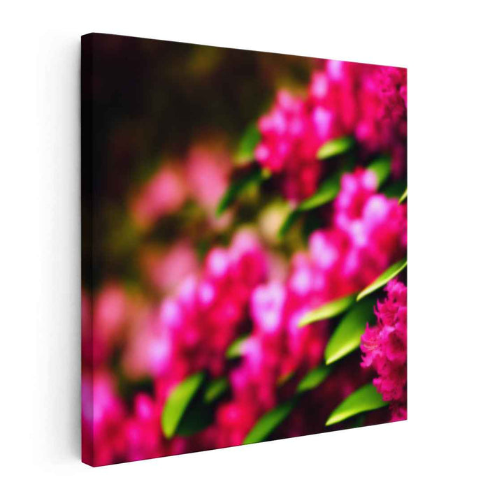 Sugar Bloom Delight: Vivid Pink Floral Canvas Art Print