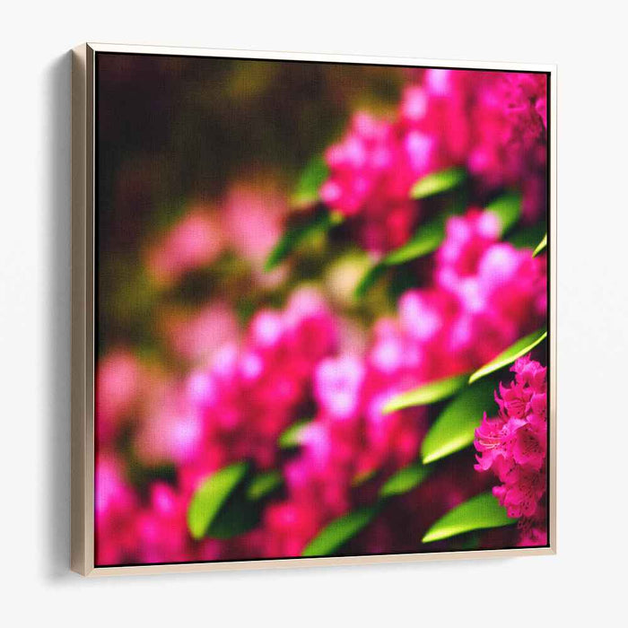 Sugar Bloom Delight: Vivid Pink Floral Canvas Art Print