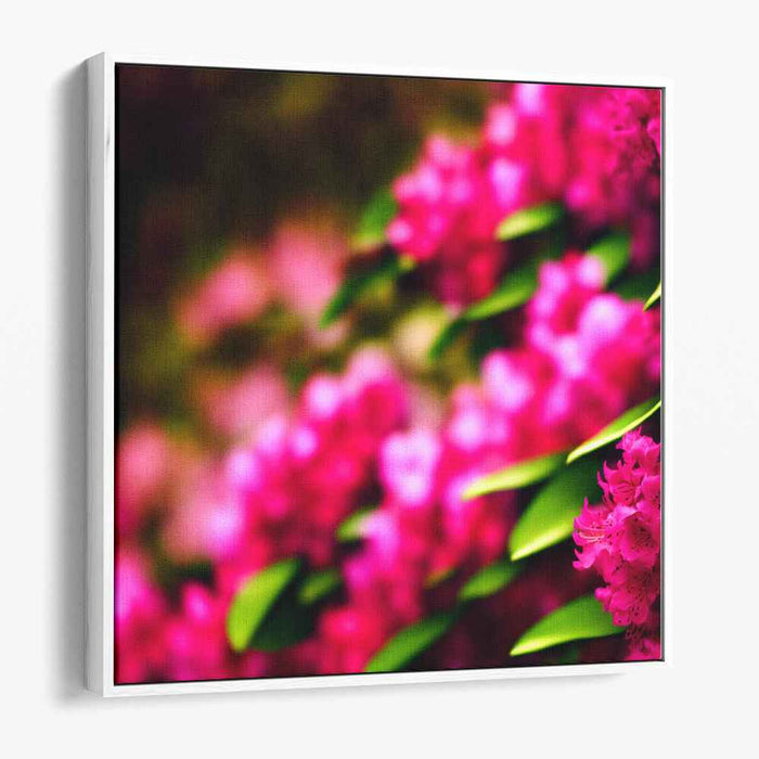 Sugar Bloom Delight: Vivid Pink Floral Canvas Art Print