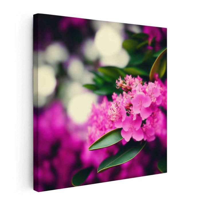 Vintage Rhododendron #003