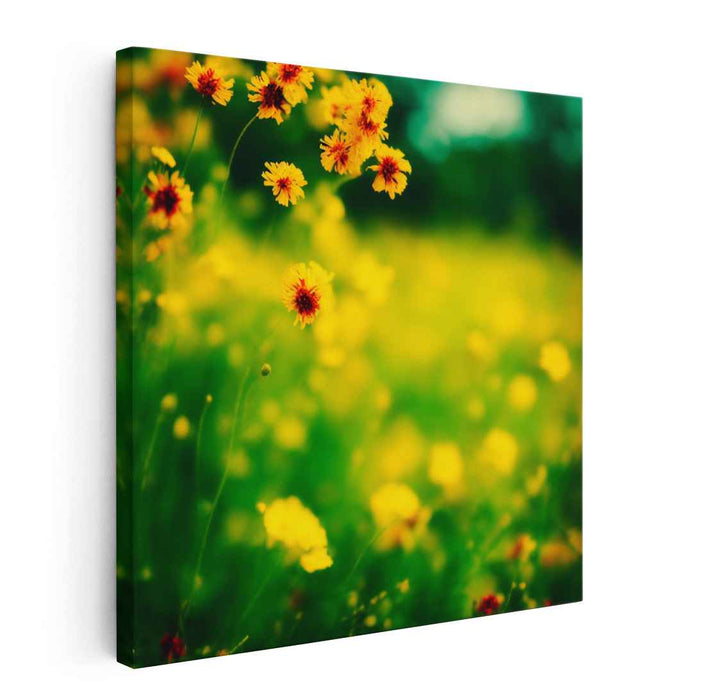 Golden Meadow: Lush Summer Bloom Canvas Art