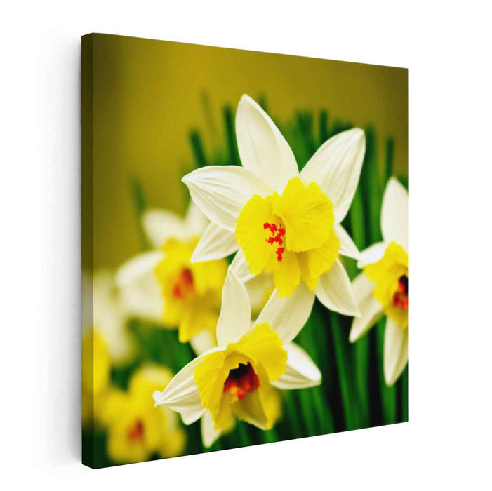 Daffodil's Illusion: Hyper-Realistic Daffodil Bloom Canvas Art Print