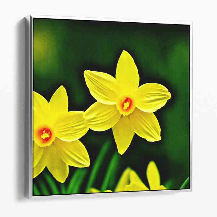 Sunshine Blooms Illuminate Canvas: Realistic Yellow Daffodils Canvas Art Print