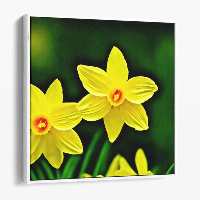 Sunshine Blooms Illuminate Canvas: Realistic Yellow Daffodils Canvas Art Print