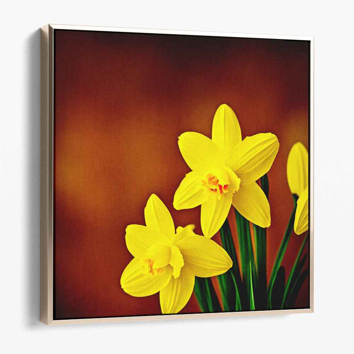 Vintage Daffodils #005