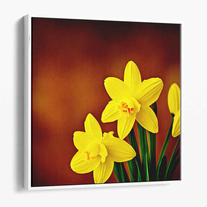 Vintage Daffodils #005