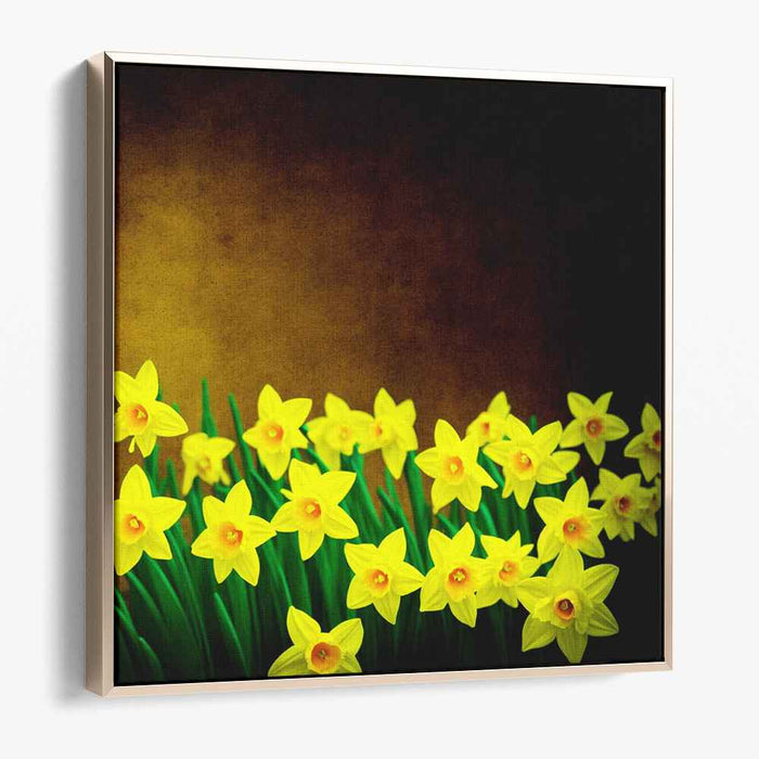 Glowing Blossoms in Shadows: Luminous Daffodils on Dark Canvas Art Print