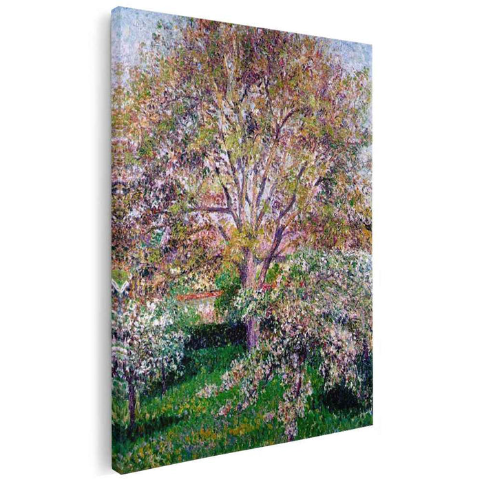 Wallnut and Apple Trees in Bloom at Eragny by Camille Pissarro