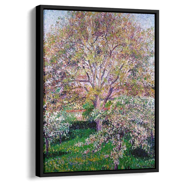 Wallnut and Apple Trees in Bloom at Eragny by Camille Pissarro