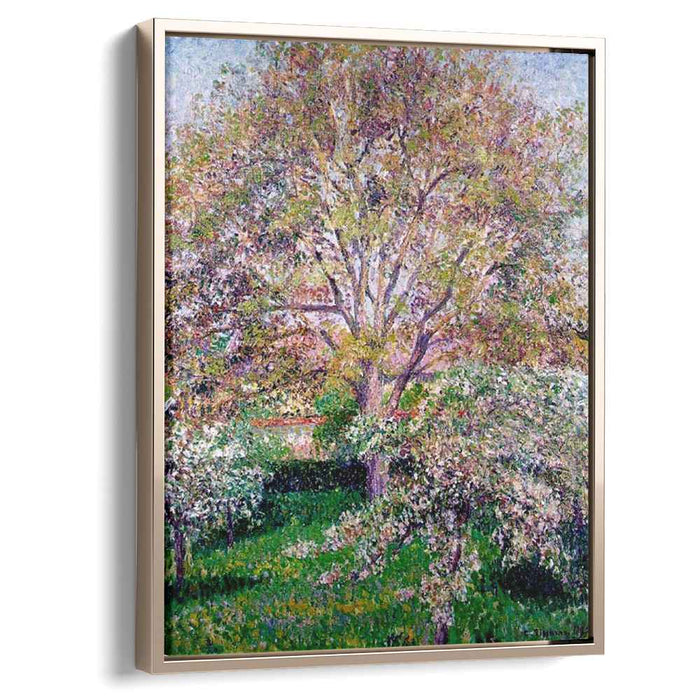 Wallnut and Apple Trees in Bloom at Eragny by Camille Pissarro