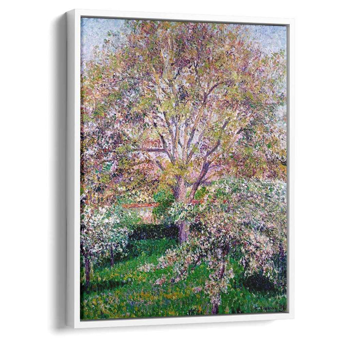 Wallnut and Apple Trees in Bloom at Eragny by Camille Pissarro