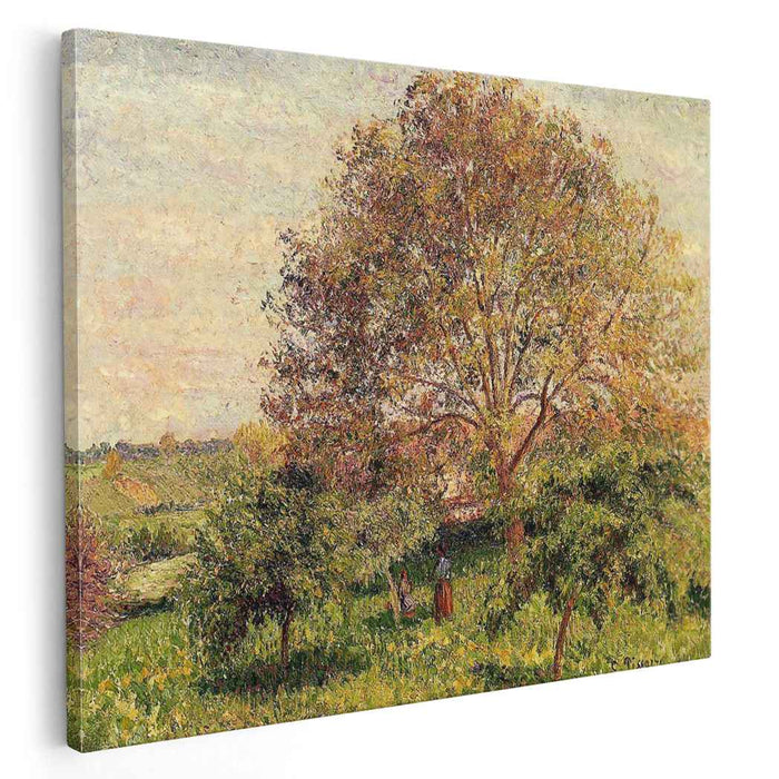 Walnut Tree in Spring (1894) by Camille Pissarro