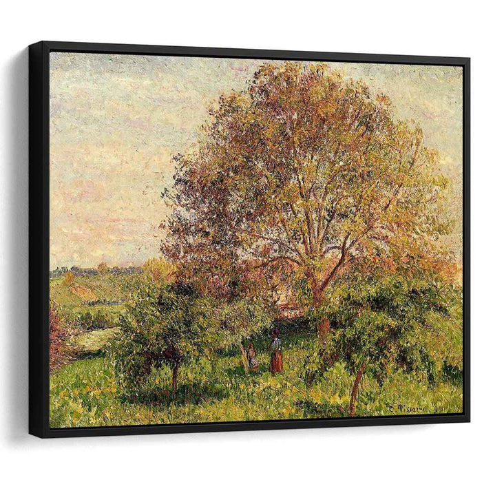 Walnut Tree in Spring (1894) by Camille Pissarro