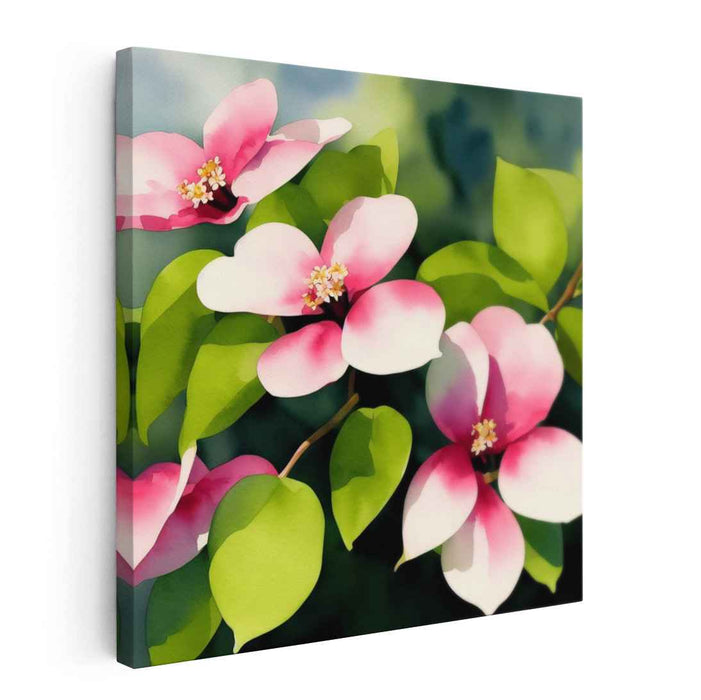 Watercolor Dogwood #007