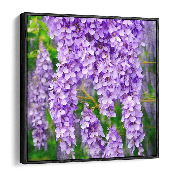 Whispers Of Purple Bloom: A Lush Wisteria Symphony Canvas Art Print