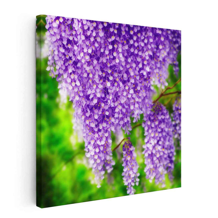 Whispers In Violet Harmony: A Symphony of Purple Blossoms