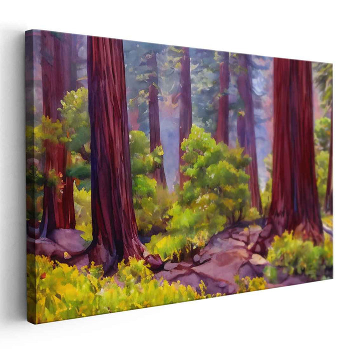 Watercolor Redwoods National Park #101