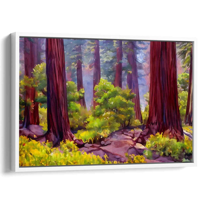 Watercolor Redwoods National Park #101
