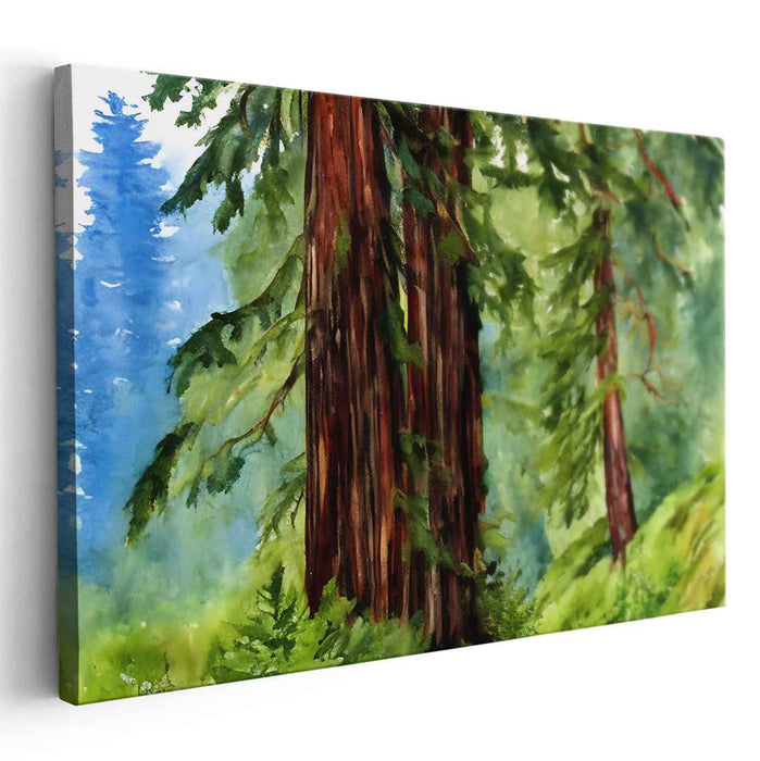 Watercolor Redwoods National Park #104