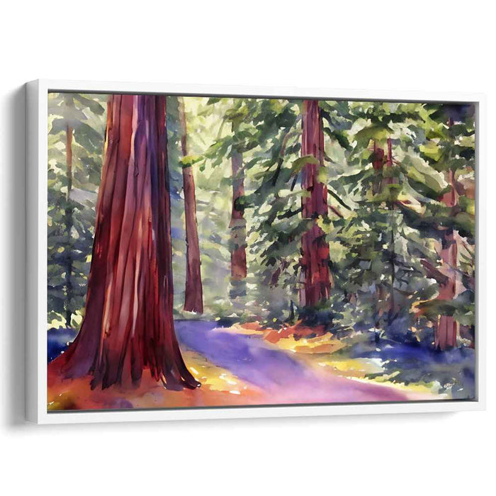 Watercolor Redwoods National Park #109