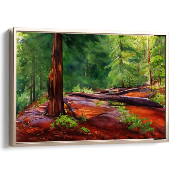 Watercolor Redwoods National Park #122