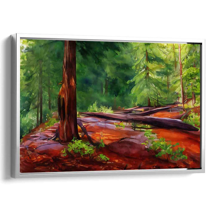Watercolor Redwoods National Park #122
