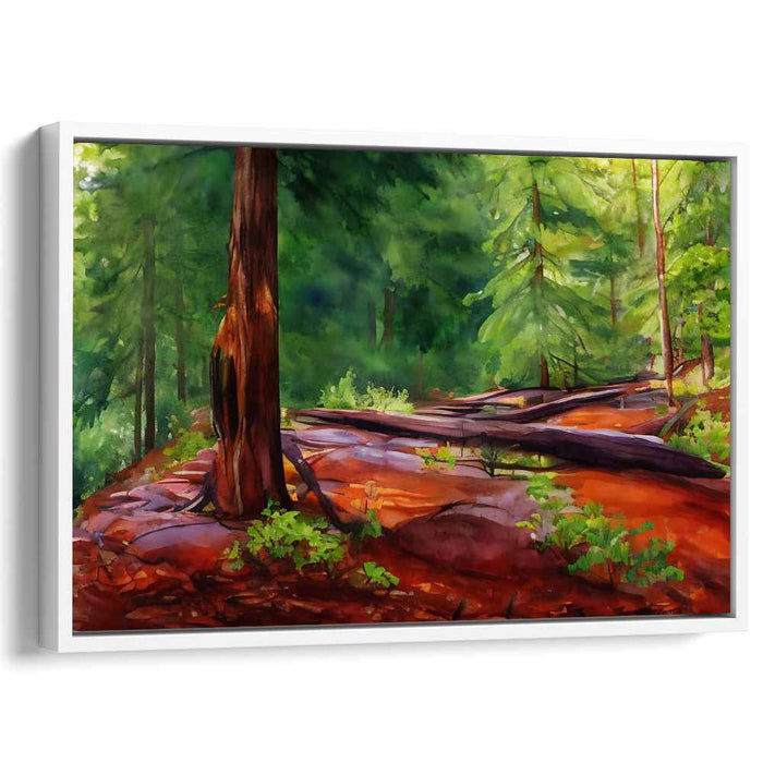Watercolor Redwoods National Park #122
