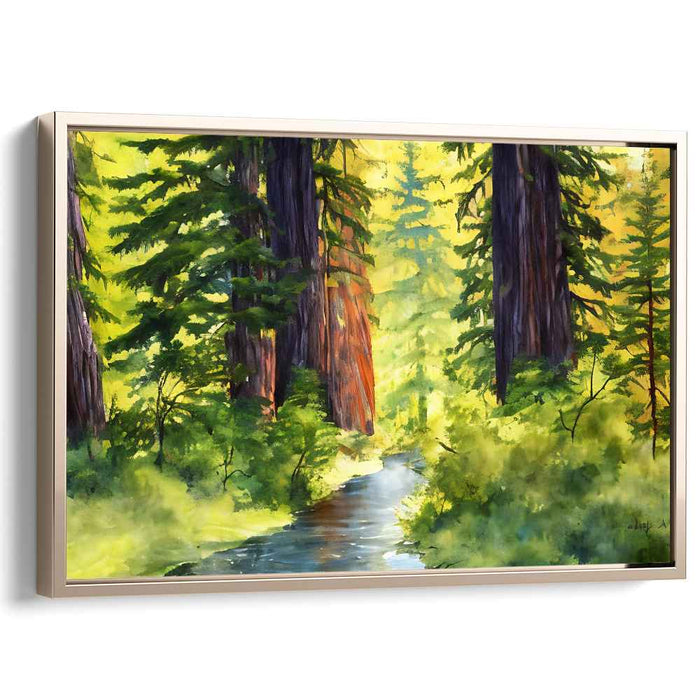 Watercolor Redwoods National Park #128