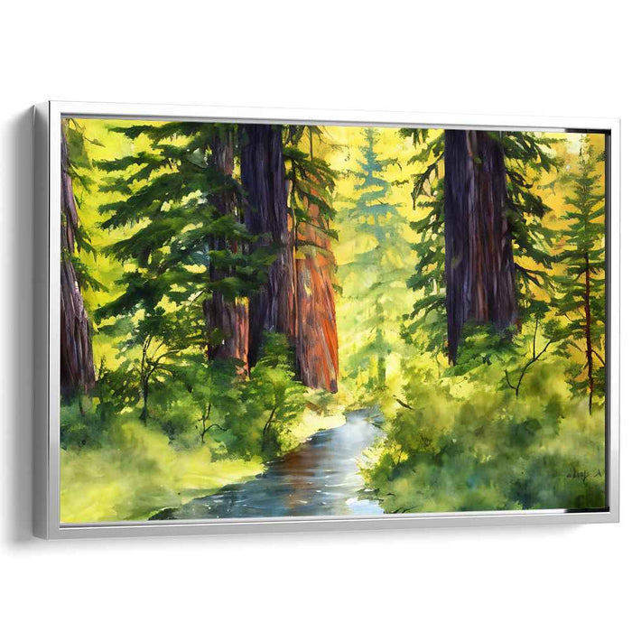 Watercolor Redwoods National Park #128