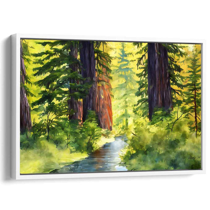 Watercolor Redwoods National Park #128