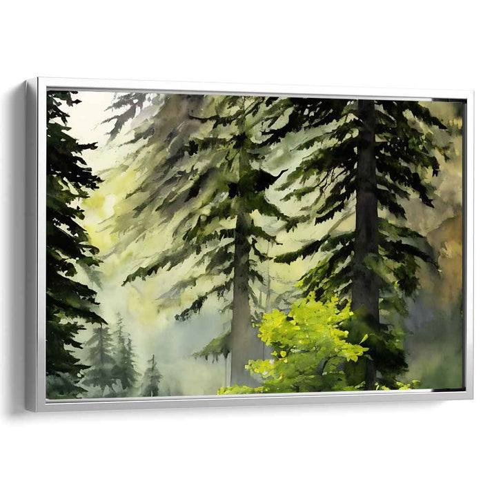 Watercolor Redwoods National Park #130