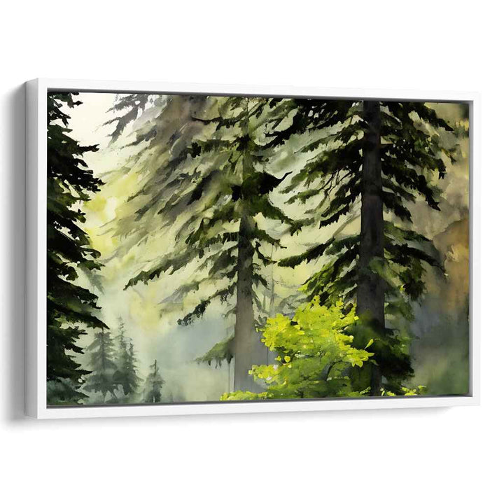 Watercolor Redwoods National Park #130