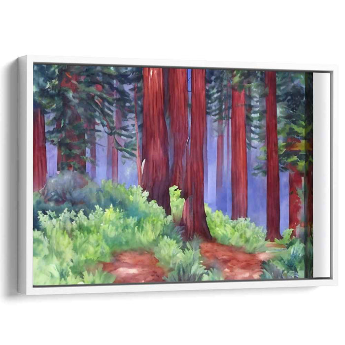Watercolor Redwoods National Park #134