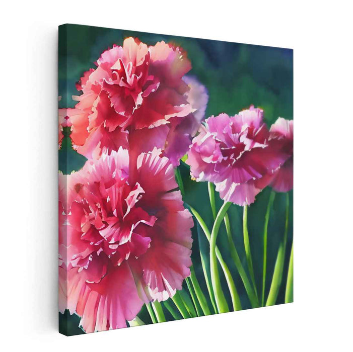 Watercolour Painting Carnations #003