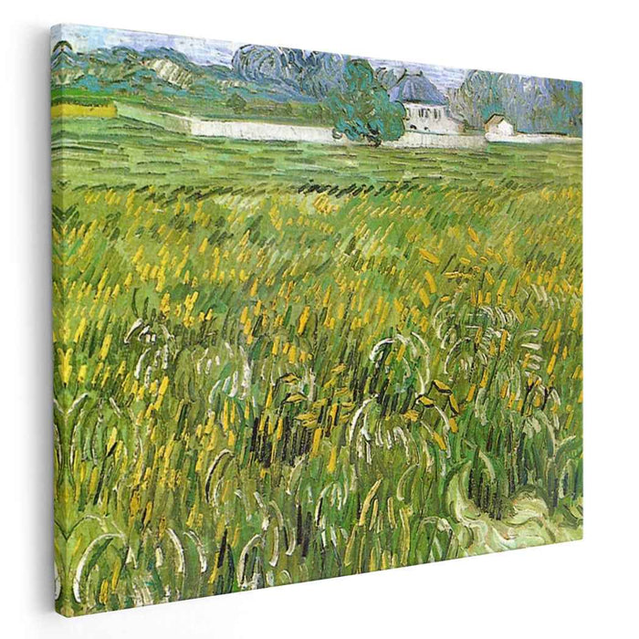 Wheat Field at Auvers with White House (1890) by Vincent van Gogh
