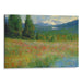 Impressionism Mount St. Helens Print - Canvas Art Print by Kanvah