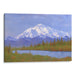 Realism Denali Print - Canvas Art Print by Kanvah