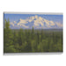 Realism Denali Print - Canvas Art Print by Kanvah