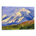 Watercolor Denali Print - Canvas Art Print by Kanvah