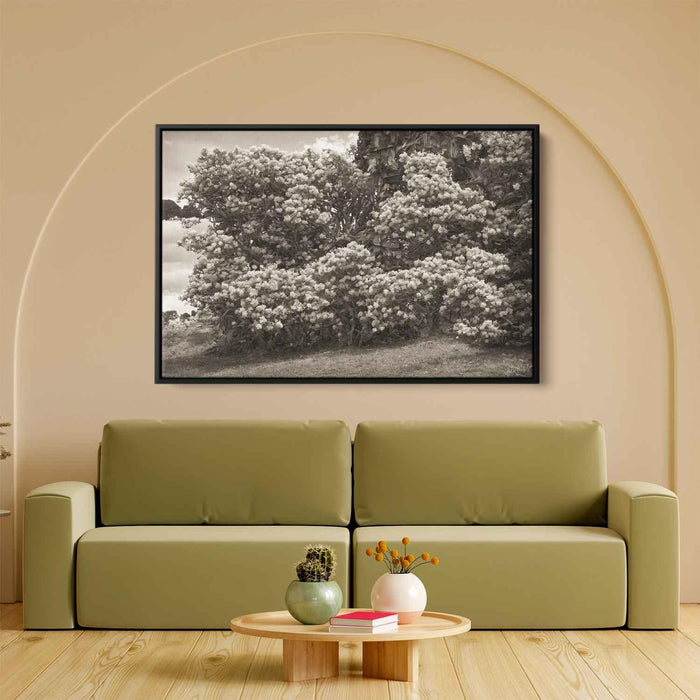 Sepia Rhododendron #106 - Kanvah