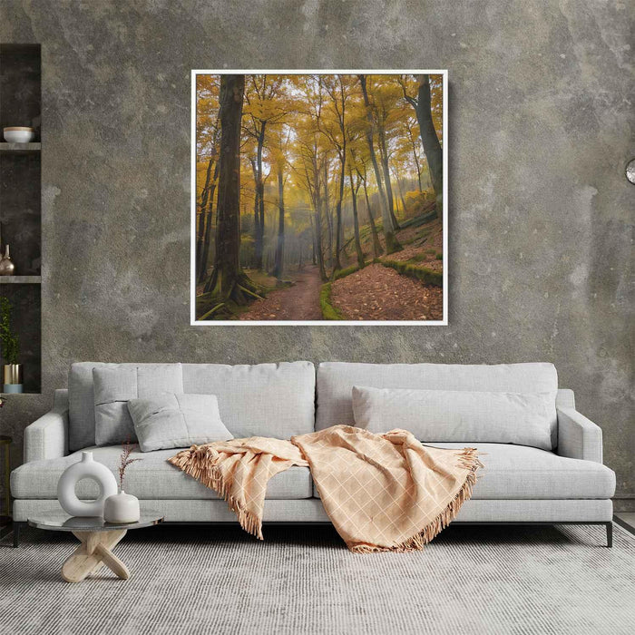 Forest Photography #005 - Kanvah