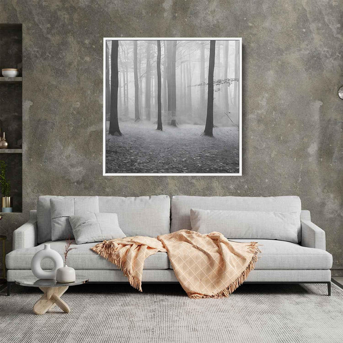 Forest Photography #007 - Kanvah