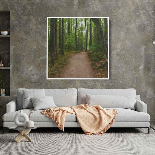 Forest Photography #013 - Kanvah