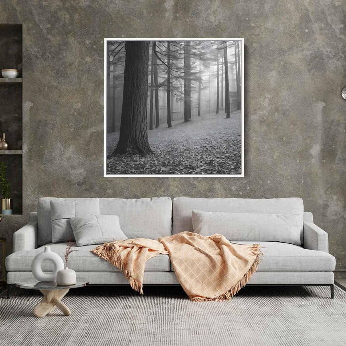 Forest Photography #017 - Kanvah